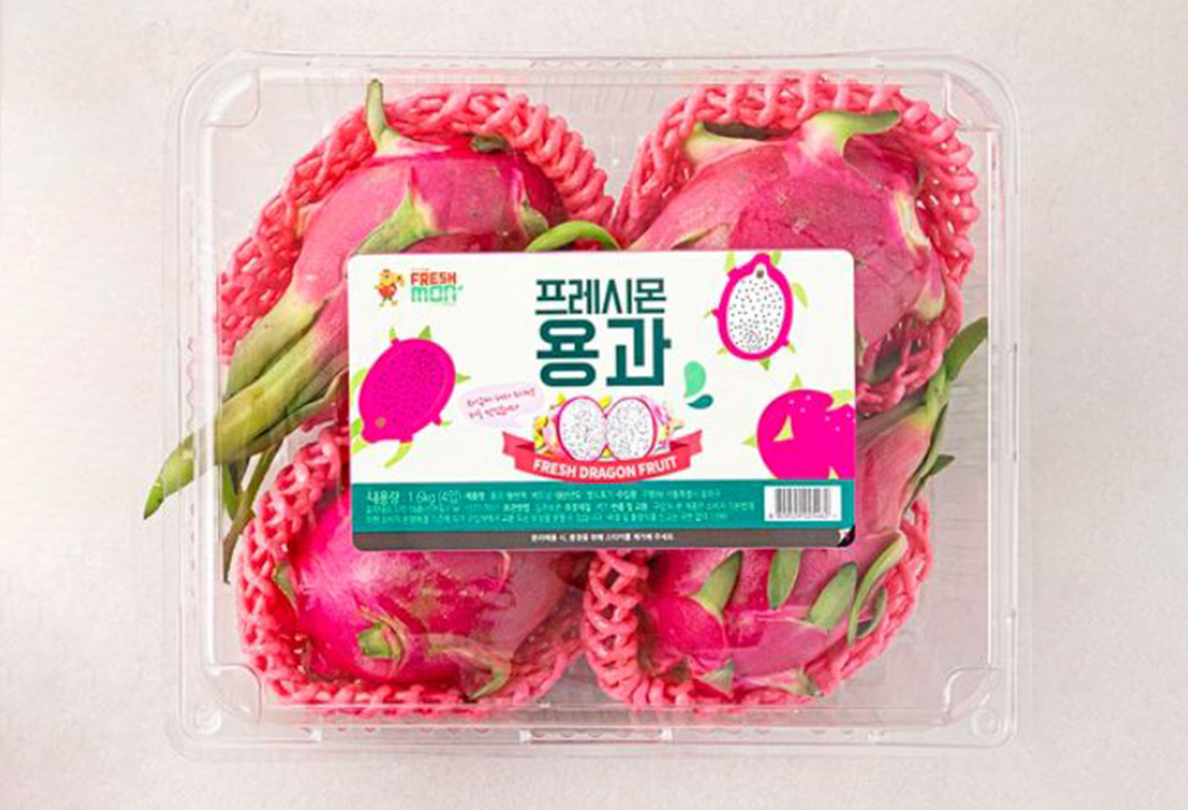 베트남 용과
